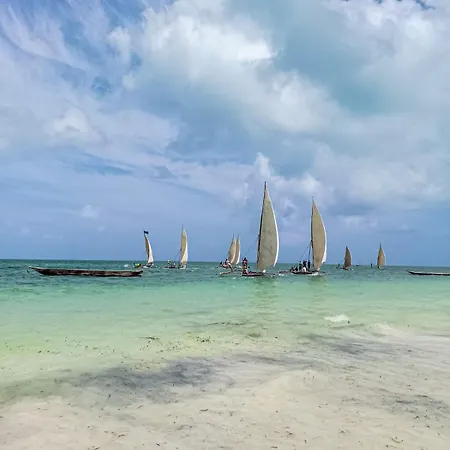 Tropical Beach Studios